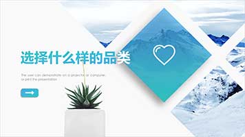 07：选择什么样的品类?